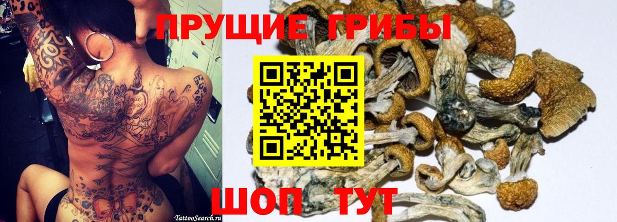 Галлюциногенные грибы мухоморы  Вход с VPN  Карачаевск 